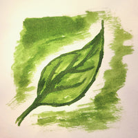Green Tea - Scented Ink